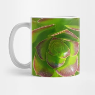 Red Succulent Mug